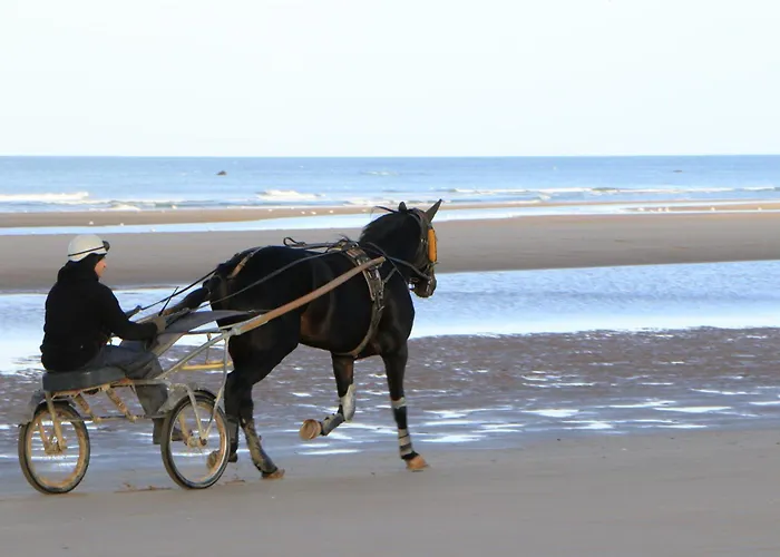 Les Bains De Nyaraló